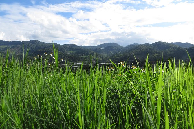 High Mountain Day Trek - Directions for the High Mountain Day Trek