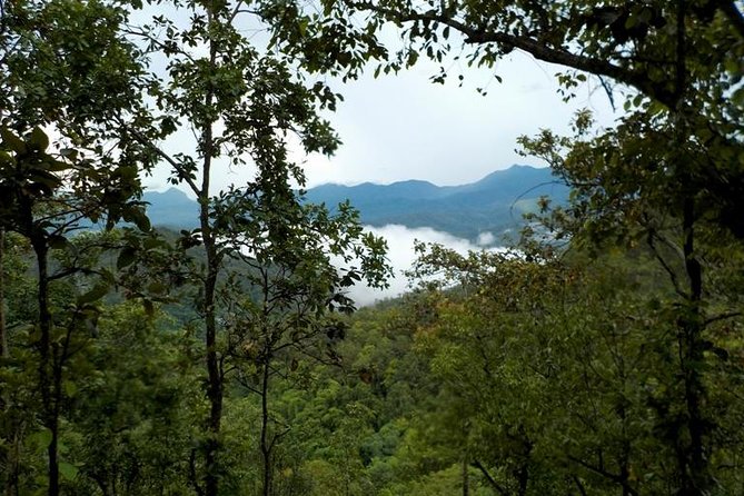 High Mountain Day Trek - Common Questions