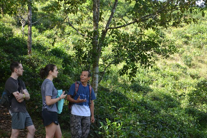 High Mountain Day Trek - The Sum Up