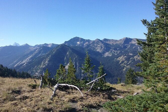 High Mountain scenic trail rides in the Teton Range - Introduction: Exploring the Teton Wilderness on Horseback