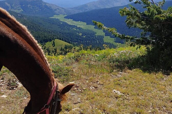 High Mountain scenic trail rides in the Teton Range - Who Will Love This Experience?