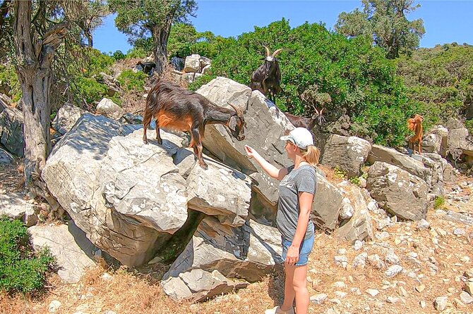 High Quality All Inclusive, Aegean Island Boat Trip From Marmaris - Common Questions