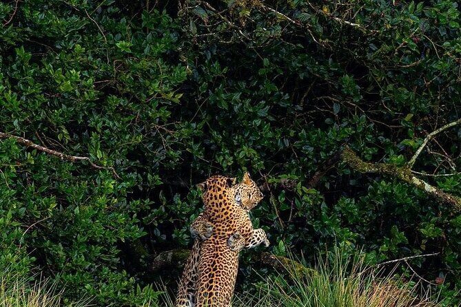 High recommended multi-day customizable Sri Lanka tours - Good To Know