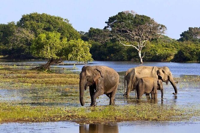 High recommended multi-day customizable Sri Lanka tours - Practical Considerations