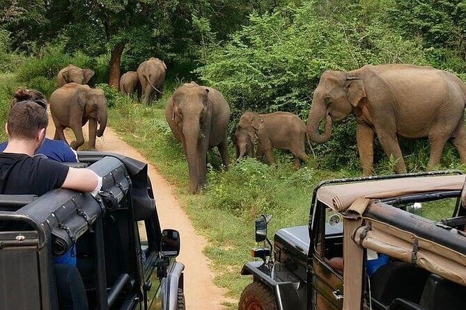 High recommended multi-day customizable Sri Lanka tours - Final Thoughts