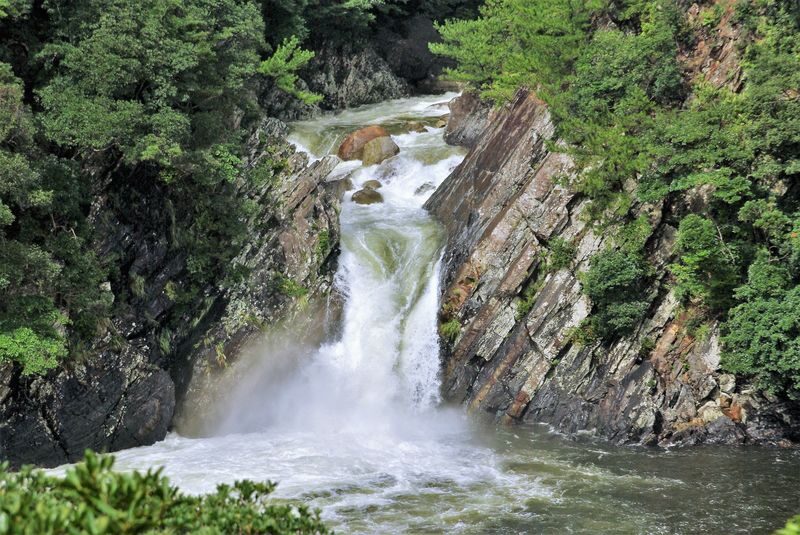 High Speed Jetfoil "Toppy" or "Rocket" Ticket to Yakushima - The paper voucher is not optional