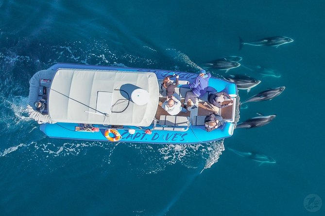 High Speed Zodiac Whale Watching Safari From Dana Point - Ocean Near Dana Point