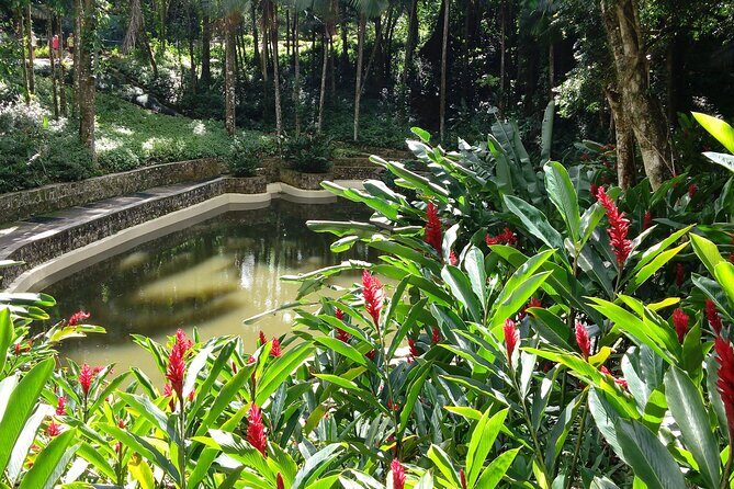 Highest Point Views & Historic Town - Amber Cove and Taino Bay - Who Should Consider This Tour?  