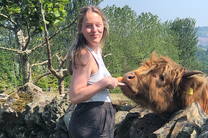 Highland Cows, Walk Alpacas & Scottish Wildlife Center From Edin - The Sum Up