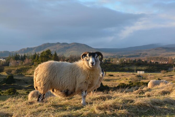 Highland Experience Tour From Dundee - Pricing and Booking Details