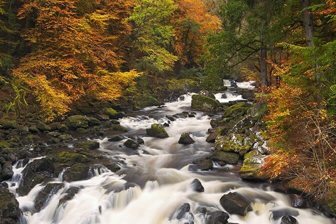 Highland Lochs, Glens, and Whisky Day Tour from Edinburgh - From Edinburgh to the Highland edge