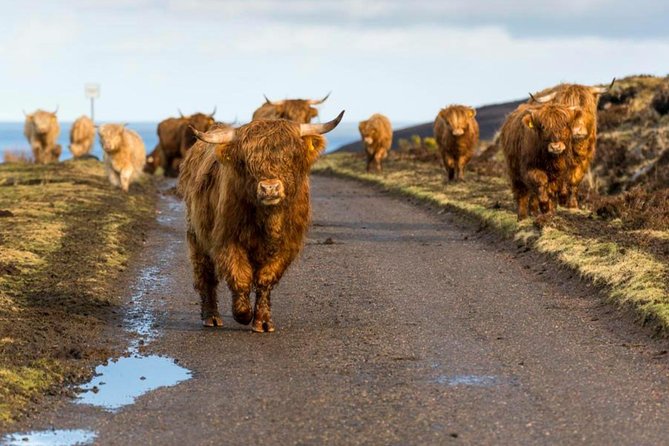 Highlands Glencoe Loch Ness Private Tour - Exploring the Mysteries of Loch Ness