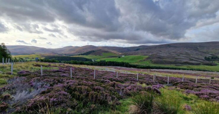 Highlands of Inverness & Moray Coast Experience - Two Days - Booking Information