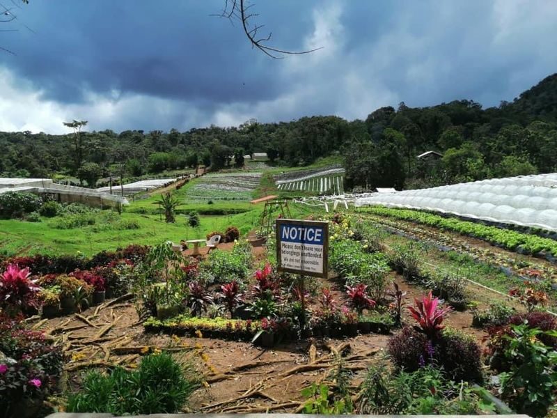 Highlands Tour in Davao - From Davao’s streets to the mountain air