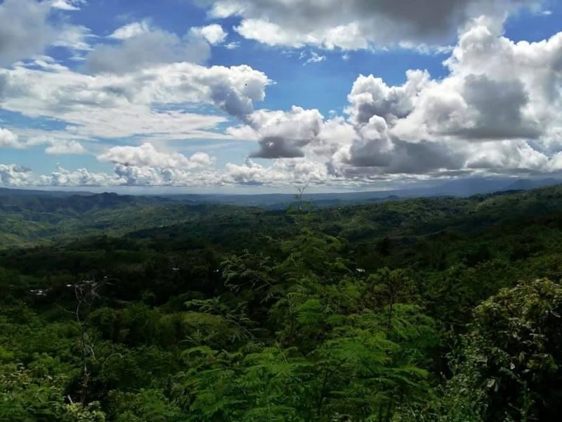 Highlands Tour in Davao - Highway 81, local food and the Big Eagle