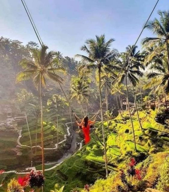 Highlight Ubud Waterfalls and Tegalalang Rice Terrace - Marvelous Waterfalls to Visit