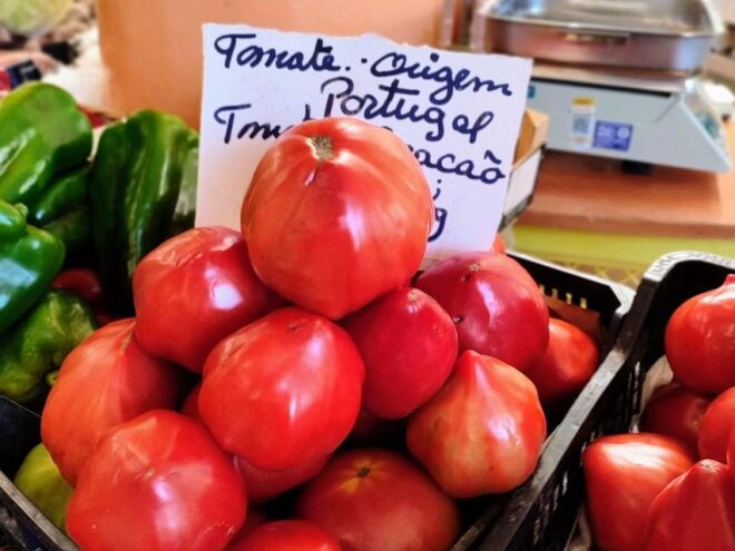 Highlights & Culinary Kickstart of Ericeira | PRIVATE Tour - Important Information