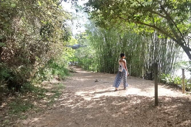 Highlights of Abraão and Enseada Das Estrela in a 4-Hour Tour - Lunch With Ocean Views