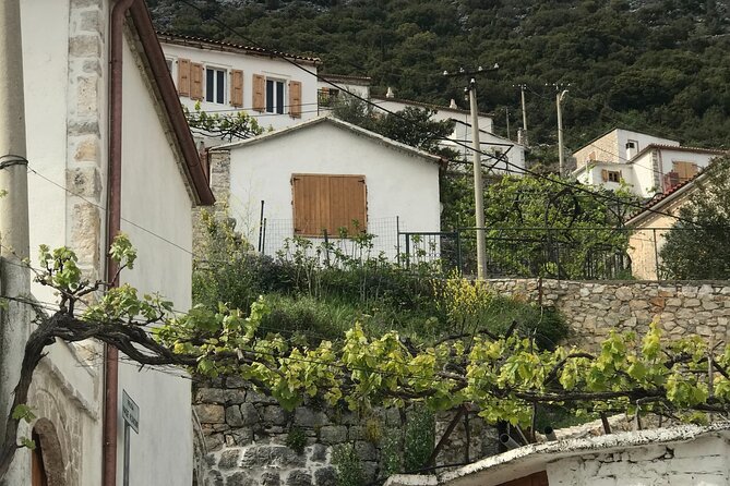 Highlights of Albania in 8 Days (Classical Albania) - Architectural Beauty of Berat