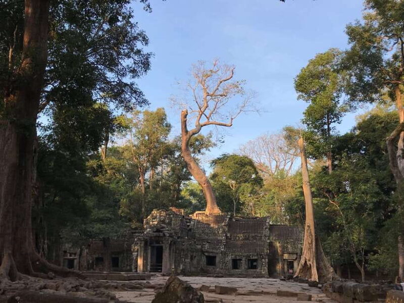Highlights of Angkor Wat, Ta Prohm & Angkor Thom - Good To Know
