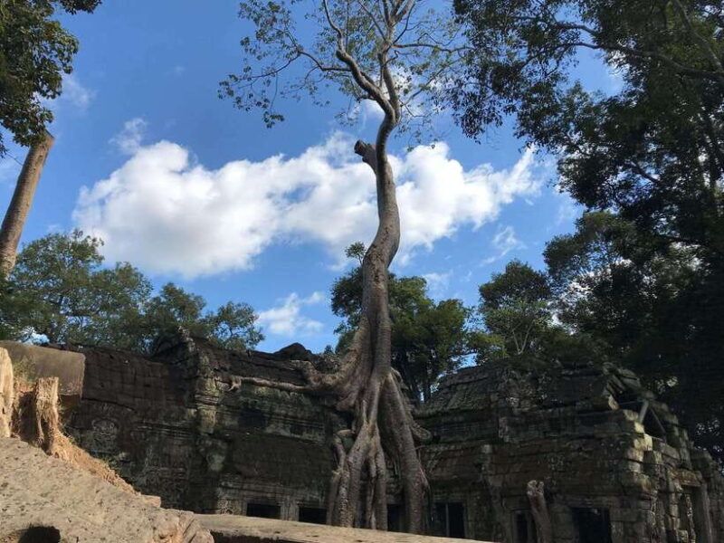 Highlights of Angkor Wat, Ta Prohm & Angkor Thom - Exploring the Highlights: What to Expect