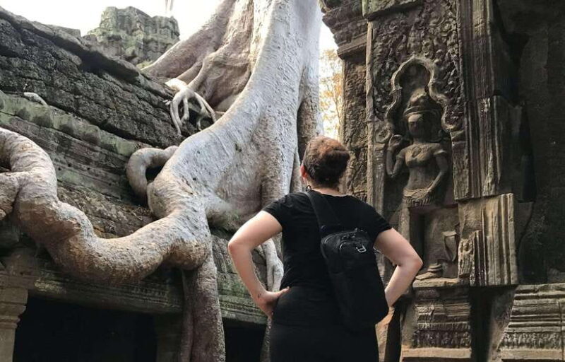 Highlights of Angkor Wat, Ta Prohm & Angkor Thom - Who Should Consider This Tour?