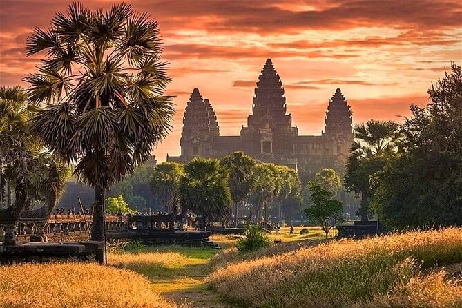Highlights of Cambodia: 8-Day Guided Tour With Private Driver  - Siem Reap - Accommodation and Transport