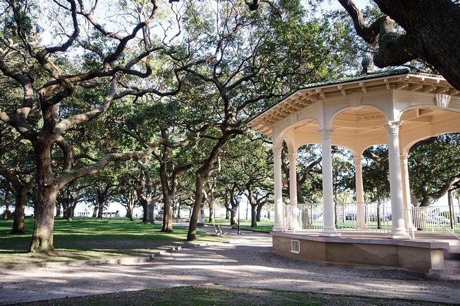 Highlights of Charleston Guided Walking Tour - Positive Reviews and Highlights