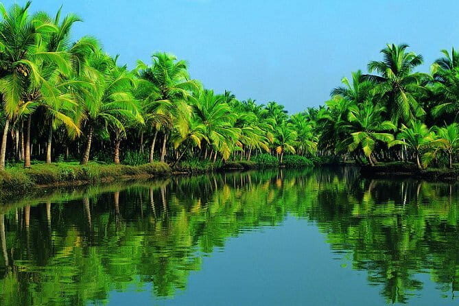Highlights of Cochin - Group Shore Excursion from Pier - What’s Included and What’s Not