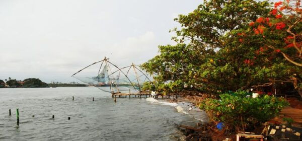 Highlights of Cochin: Group Tour From Cochin Port - The Sum Up