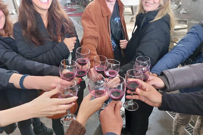 Highlights of Kakheti Wine Region-Signagi,Bodbe,Wine Tasting(Group Tour) - Traveler Reviews
