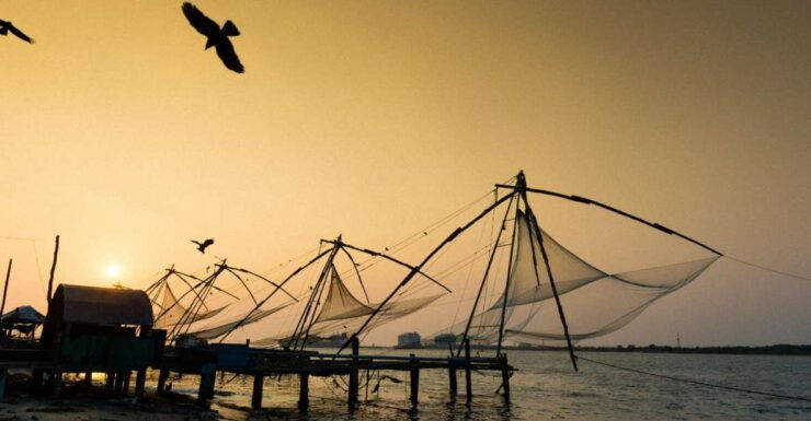 Highlights of Kochi, Guided Half-Day Tour by Car - Tour Details