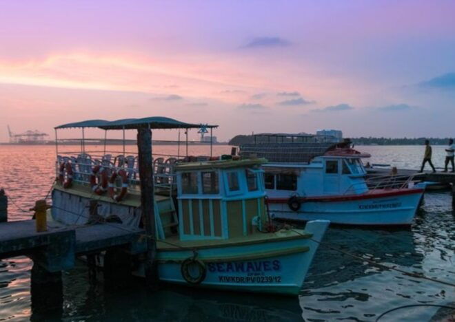 Highlights of Kochi, Guided Half-Day Tour by Car - Highlights