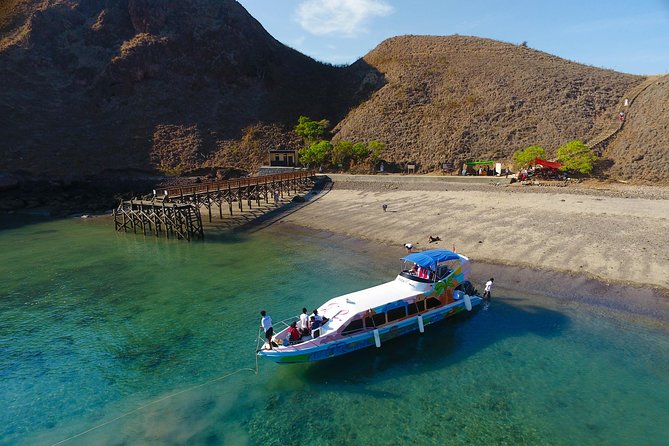 Highlights of Komodo - Pink Beach