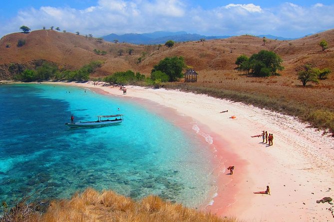 Highlights of Komodo - Local Culture and Traditions