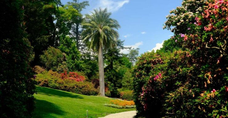 Highlights of Lake Como - Villa Carlotta and Botanical Gardens
