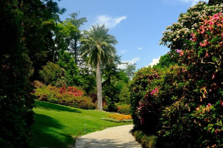 Highlights of Lake Como - Local Product Tasting