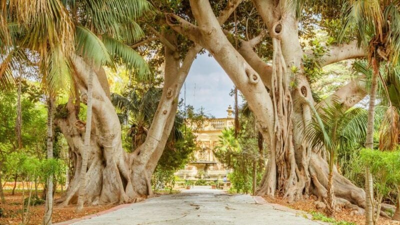 Highlights of Malta Tour:Icons and Experiences of the Island - Good To Know