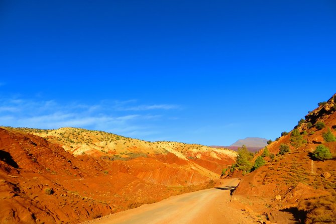 Highlights of Morocco: 12-Day Discovery Tour From Marrakech - Tour Pricing and Booking Details