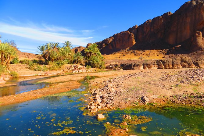 Highlights of Morocco: 12-Day Discovery Tour From Marrakech - Tour Overview