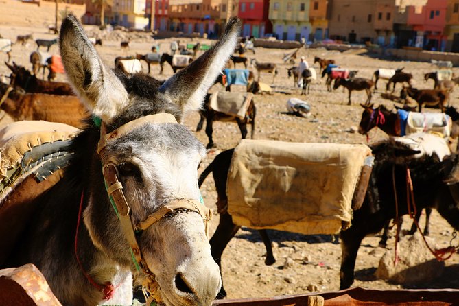 Highlights of Morocco: 12-Day Discovery Tour From Marrakech - Discovering Hidden Treasures and Berber Villages