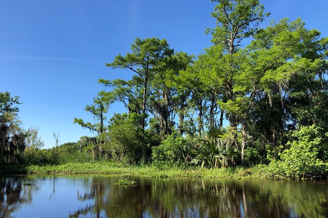 Highlights of New Orleans City and Swamp Tour Combination - Tour Itinerary