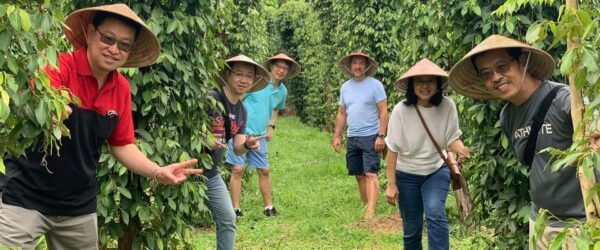 HIGHLIGHTS OF PHU QUOC FULL DAY TOUR - Transportation Options