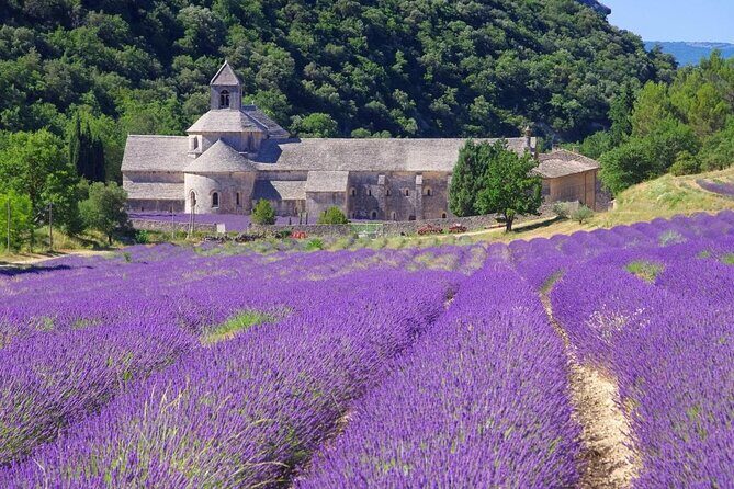 Highlights of Provence in one day - Analyzing the Experience: What You Can Expect
