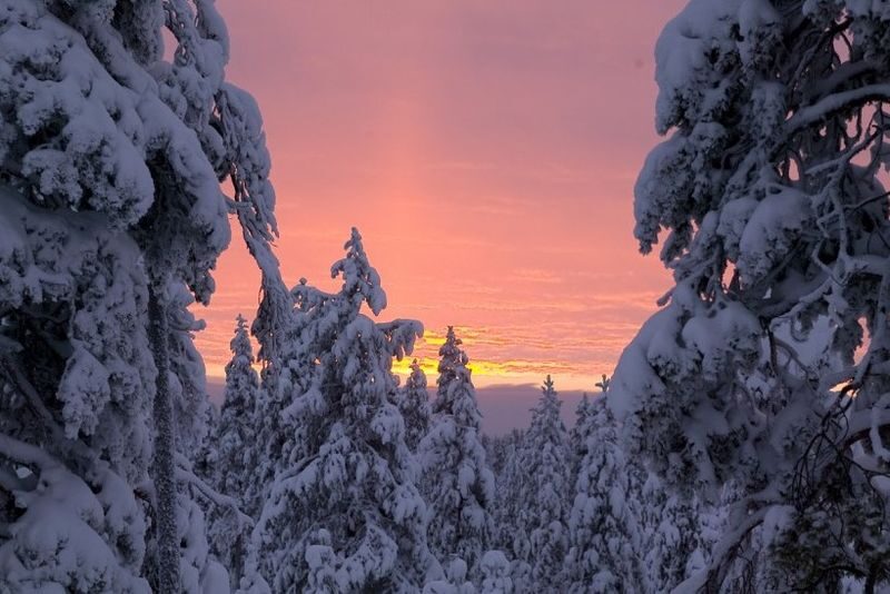 Highlights of Rovaniemi Day Tour - A practical Rovaniemi sampler