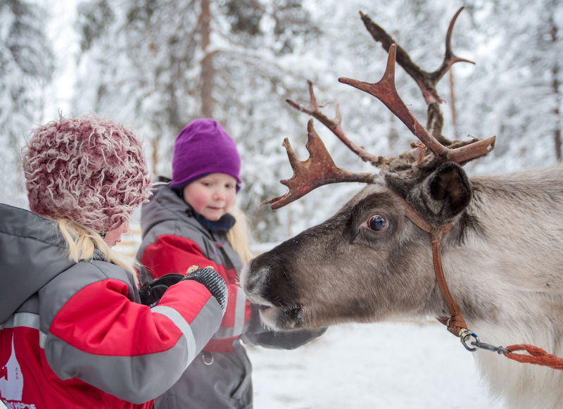 Highlights of Rovaniemi Day Tour - Who gets the best value