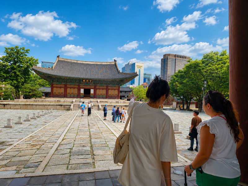 Highlights of Seoul: Deoksugung Palace & N Seoul Tower - The morning in brief