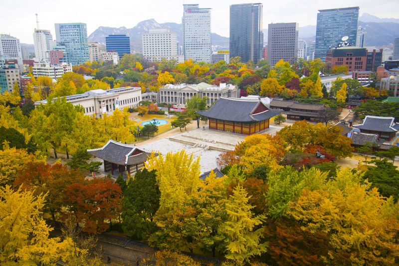Highlights of Seoul: Deoksugung Palace & N Seoul Tower - A skyline start at N Seoul Tower
