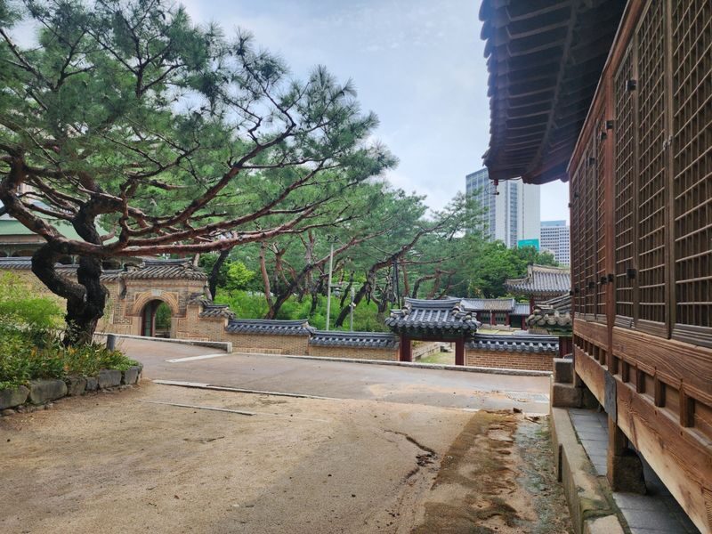 Highlights of Seoul: Deoksugung Palace & N Seoul Tower - Deoksugung Palace and the 11:00 ceremony