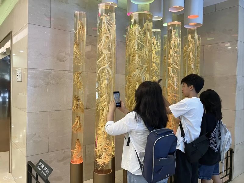 Highlights of Seoul: Deoksugung Palace & N Seoul Tower - Is the price good value?